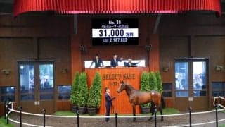 【セレクトセール2023】ジャスティンパレス半弟が3億1000万円で落札