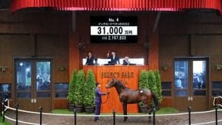 【セレクトセール2023】出た3億！開幕から4頭連続の億超え盛況…キタサンブラック産駒が落札