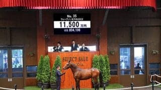 ドゥラメンテ産駒最終世代の1頭 ウィープノーモアの2022は1億1500万円で金子真人HDが落札