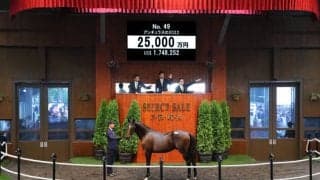 【セレクトセール2023】追分ファーム生産、エピファネイア産駒が2億5000万円で落札