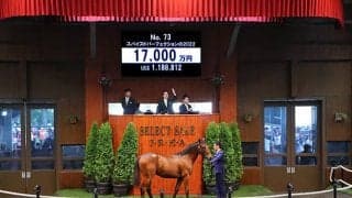 スパイスドパーフェクションの2022は1億7000万円 母は米G1・2勝の実績