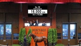 リスグラシューの弟リリサイドの2022は1億6000万円 金子真人ホールディングスが落札