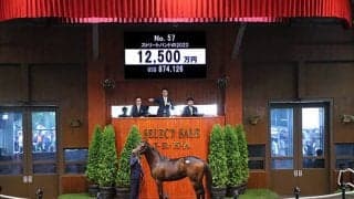 藤田晋氏が1億2500万円で落札 米G1馬の初仔でキズナ産駒の牝馬