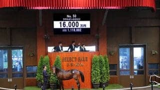 きょう10頭目の億超えホース サートゥルナーリア産駒を野田みづき氏が1億6000万円で落札