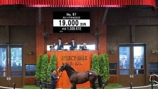 ジャスティンカフェの弟は1億9000万円 「ダノン」の冠名で知られるダノックスが落札