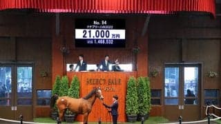 姉はG1・7勝馬 ドゥラメンテ産駒ドナブリーニの2022は2億1000万円で落札