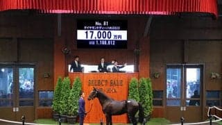 米重賞2勝馬の仔 ダイヤモンドディーバの2022は1億7000万円