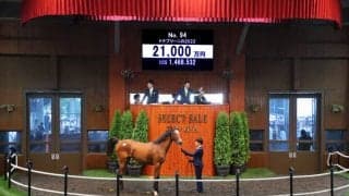【セレクトセール2023】ジェンティルドンナの半妹が2億1000万円で落札
