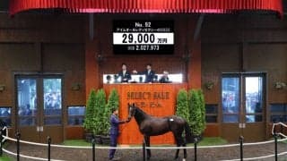 【セレクトセール2023】2億9000万円！キタサンブラック産駒が3頭目の億超え