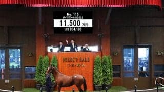 【セレクトセール2023】ダイワズームの2022は1億1500万円 「アドマイヤ」の冠名で知られる近藤旬子氏が落札