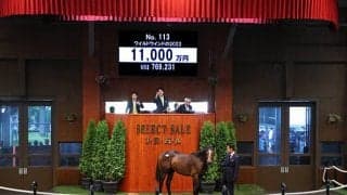 【セレクトセール2023】ワイルドウインドの2022は1億1000万円 (株)ライフハウスが落札