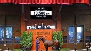 ドゥラメンテ産駒最終世代の牡馬が1億3500万円 「サトノ」の里見治氏が落札