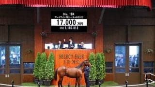 価格は1億7000万円 金子真人HDが米G1・2勝馬の仔を落札
