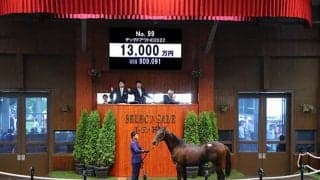 20頭目の億超えはデックドアウトの2022 1億3000万円でライフハウスが落札