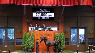 金子真人HDが2億7000万円で落札 BCフィリー＆メアターフ覇者全弟の良血馬