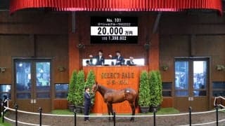 【セレクトセール2023】ジュンライトボルト半弟が2億円で落札