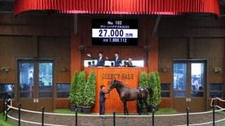 【セレクトセール2023】BCフィリー&メアターフ勝ち馬の全弟が2億7000万円で落札