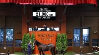 近親にマンハッタンカフェ 金子真人HDが2億1000万円でブルックデイルの2022を落札