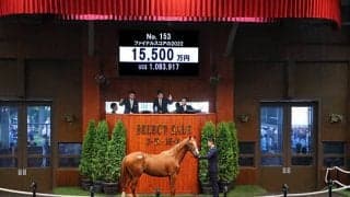 ドゥラメンテ産駒最終世代の1頭 ファイナルスコアの2022は1億5500万円