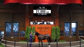 【セレクトセール2023】ブリックスアンドモルタル産駒が2頭目の2億円超え…ブルックデイルの22