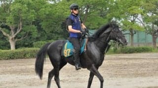 エリ女覇者レインボーダリアの仔 栗田師も素質認めるレッドレフィナード/関東馬メイクデビュー情報