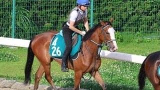 叔父にシャフリヤールやアルアインがいる良血馬 ゴージャスゴールドが初陣/関西馬メイクデビュー情報