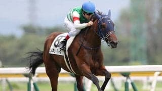 【先週のJRA抹消馬】21年デイリー杯2歳S2着のソネットフレーズや芝OP馬インテンスライトなど