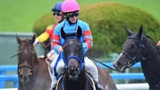 【AI予想・函館記念】前走人気薄の取捨が的中の鍵!? 混戦ムードの一戦で人工知能が推す本命候補3頭とは