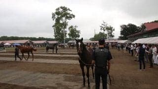 【セレクトセール2023】前年比3.8％増で歴代最高133億6500万円を売り上げる大盛況　億超えは28頭/1歳セッション