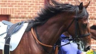 武豊騎手が26年ぶり2勝目へ 函館2歳Sに伸びシロたっぷりのアガシで参戦