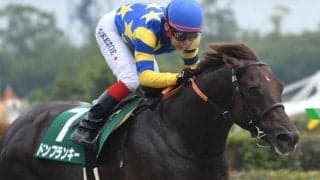 馬体重600kgに迫る巨漢 ダイワメジャー産駒から数少ないダート重賞覇者誕生