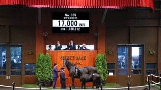 コントレイル産駒トップバッターは1億7000万円！「ダノン」の冠名で知られるダノックスが落札