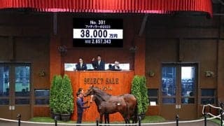 2日目もキタサン産駒がいきなり億超え！ ファディラーの2023を3億8000万円でインターホースが落札