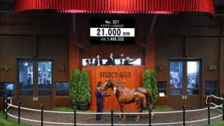 【セレクトセール2023】ドレフォン産駒が2.1億円…ドナブリーニの23