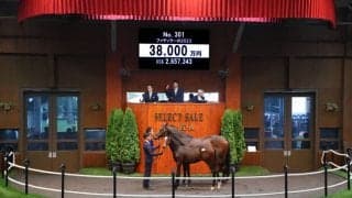 【セレクトセール2023】当歳セリ開幕！キタサンブラック産駒がいきなり3.8億円