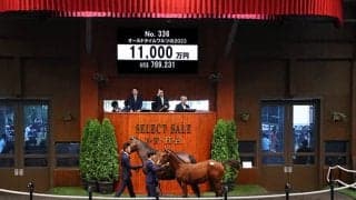 アグリの弟オールドタイムワルツの2023 里見治氏が1億1000万円で落札