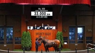 藤田晋氏きょう1頭目の購入は3億3000万円 ピクシーナイトの弟ピクシーホロウの2023