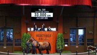 コントレイル産駒はまたまた億超え バイバイベイビーの2023は3億3000万円