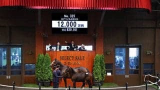 伯父にスワーヴリチャード ルナベイルの初仔に1億2000万円 