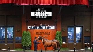 半姉に名牝ジェンティルドンナ ドナブリーニの2023は2億1000万円