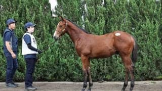 【セレクトセール2023】サトノダイヤモンド産駒が1.1億円で里見治氏が落札