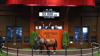 【セレクトセール2023】最高価格3億超3000万円！コントレイル産駒が落札