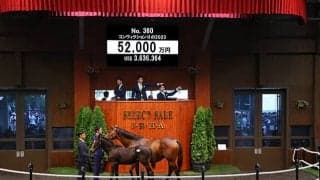 セレクト歴代3位の5億2000万円！ コントレイル産駒をノースヒルズが落札
