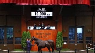 半姉にヴァレーデラルナら セレスタの2023は1億9000万円