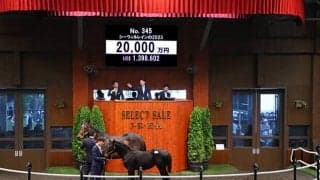 シーウィルレインの2023は2億円でダノックスが落札 半兄にダノントルネード