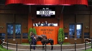 【セレクトセール2023】サートゥルナーリア産駒が2億円で落札