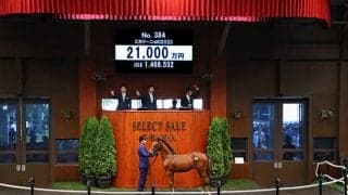 ミカリーニョの2023は2億1000万円で落札 昨年の兄続いて2年連続2億超え