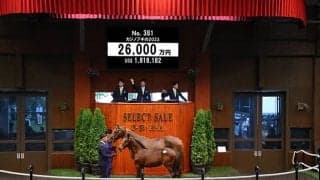 ジャスティンカフェの半弟 カジノブギの2023は2億6000万円