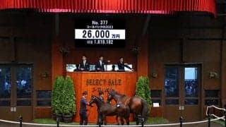 きょうだいに続き3年連続の2億超え！ コールバックの2023を2.6億円で金子真人ホールディングス(株)が落札