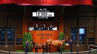 母は米最優秀2歳牝馬 カレドニアロードの2023は1億2500万円